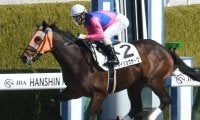 【阪神4R新馬戦結果】8番人気メイショウサトワが2番手から抜け出しV