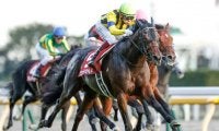 【海外競馬】ヴァンドギャルドがドバイターフに選出、出否は未定