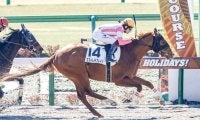 【東京2R新馬戦結果】エストレラブレインが抜け出し新馬勝ち