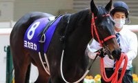 【次走】熊本産馬ヨカヨカは幸英明騎手と新コンビでフィリーズレビューへ