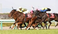 リバティハイツが競走馬登録抹消