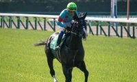 【JRA】トリコロールブルーが予後不良に、28日の調教中に粉砕骨折