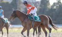 【海外競馬】レッドルゼルはドバイゴールデンシャヒーンの招待受諾、鞍上はR.ムーア騎手