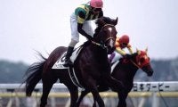 ジャングルポケットが死亡　2001年のダービー馬、ジャパンCではテイエムオペラオーを破る