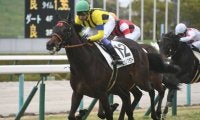 【チューリップ賞 出走馬決定順】フルゲート18頭に12頭の登録で除外なし　2頭は自己条件にも登録