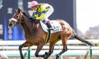 【次走】クライミングリリーはフローラSに向かう見込み　全兄は重賞馬ギベオン
