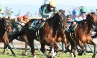 【次走】シヴァージは吉田隼人騎手との新コンビで高松宮記念へ
