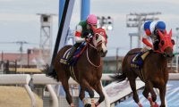 【エンプレス杯】マルシュロレーヌが完勝！交流重賞3勝目