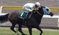 【JRA】地震の影響で1回福島競馬を新潟に変更、福島牝馬Sは新潟外回り1800mに
