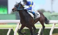サバノミッソーニが7馬身差で逃げ切り初勝利！