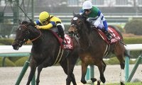 【チューリップ賞回顧】2頭の同着優勝　今年は難解の牝馬クラシック路線/栗山求コラム
