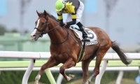 【ブリリアントC・TR】移籍後16戦13勝！ フィアットルクスが断然人気に応え3馬身半差で快勝