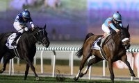 【海外競馬】ドバイワールドカップデーは無観客競馬