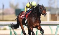 【金鯱賞回顧】ギベオン　母コンテスティッドの能力を存分に発揮した勝利/栗山求コラム