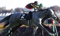 【JRA】リステッド競走2勝のアルーシャが引退、繁殖入りへ