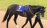 【次走】ペルシアンナイトは引き続き大野拓弥騎手で大阪杯へ
