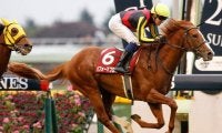 【JRA】パフォーマプロミスが引退、乗馬に　18年日経新春杯など重賞3勝
