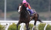 【地方競馬】存在感を増す高知競馬　“生え抜きの有力馬” 登場への期待/田中哲実コラム