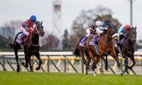 【大阪杯想定】昨年の三冠馬コントレイル、最優秀短距離馬グランアレグリアなど