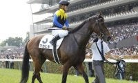 【次走】8歳馬マカヒキは天皇賞・春へ向かう　2016年日本ダービー覇者