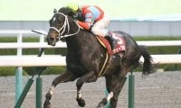 【阪神大賞典結果】ディープボンドが5馬身差Vで重賞2勝目　アリストテレスは7着