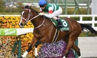 超高速の6ハロンGI高松宮記念、海外ではドバイWCデー開催/今週の競馬界の見どころ