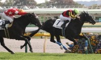 【毎日杯登録馬】良血ルペルカーリアなど12頭が登録