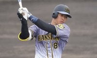 阪神ドラ1佐藤輝は活躍なるか？　過去のOP戦本塁打王のシーズン成績を振り返る