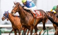 【次走】アリストテレスは天皇賞・春へ