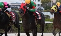 【地方競馬】園田、姫路の注目3歳馬を紹介！サラコナン「菊水賞を見据えて」