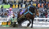 廃止の危機から、復活を感じた今シーズンのばんえい競馬/斎藤修コラム