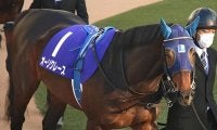 【次走】オーソクレースは引き続きC.ルメール騎手とのコンビで皐月賞へ