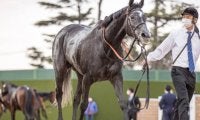 【ドバイシーマクラシック】日本の牝馬2頭はともに外目からの発走