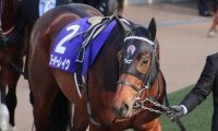 【次走】武豊騎手骨折のためヨーホーレイクは岩田望来騎手との新コンビで皐月賞へ
