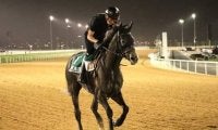 ２年ぶりのドバイWC。クロノジェネシスら日本馬に激走の気配！
