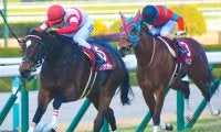 【高松宮記念予想】牝馬5頭が消去条件に！ フルゲートのポジション争いに負けないのは？ /JRAレース展望
