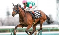 【ミモザ賞結果】スルーセブンシーズが人気に応えて快勝