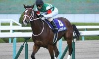【高松宮記念 13時時点オッズ】レシステンシアが単勝3.5倍で1番人気、ダノンスマッシュが5.3倍で続く