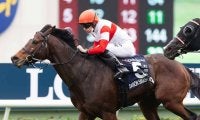 ダノンスマッシュは「結局、重馬場でも大丈夫なのか」　G1連勝にSNS反響「凄いわ」