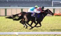 【大阪杯登録馬】三冠馬コントレイルが始動