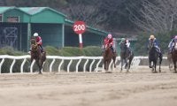 売得金額492億円で佐賀競馬の年間記録更新　在宅投票、ナイター開催で大幅増