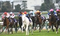 牝馬クラシック第一弾・桜花賞に注目/今週の競馬界の見どころ