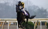 【水沢・スプリングカップ】リュウノシンゲンが２着馬に９馬身差を付ける圧勝！