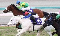 【桜花賞登録馬】白毛馬ソダシなど24頭が登録