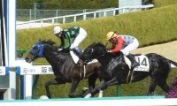 【ニュージーランドT展望】混戦のNHKマイルCトライアル、あの穴馬に期待
