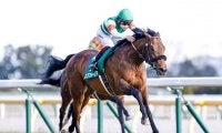 【皐月賞出走馬決定順】フルゲート18頭に18頭の登録