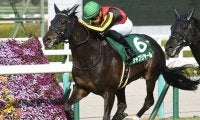 【次走】毎日杯をレコード制覇のシャフリヤールは日本ダービーを視野に調整