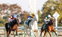 【桜花賞予想オッズ】ソダシが予想1番人気