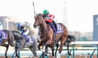 GI皐月賞とJ・GI中山グランドジャンプに注目/今週の競馬界の見どころ