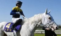 【勝負の分かれ目 桜花賞】吉田隼人騎手が力を引き出し、ソダシが白毛馬初のクラシック制覇